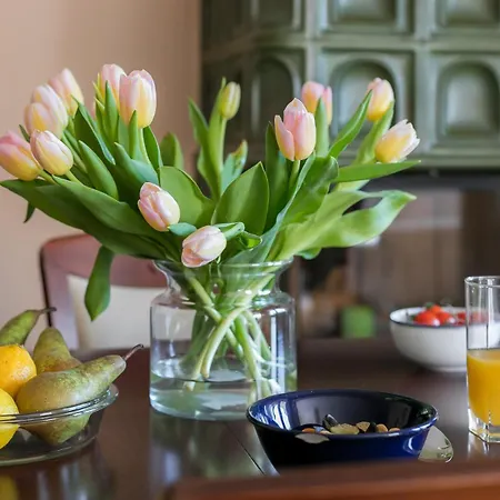 Rent Like - Orkana Ix Apartment Zakopane