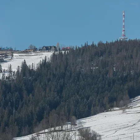 Rent Like - Orkana Ix Apartment Zakopane